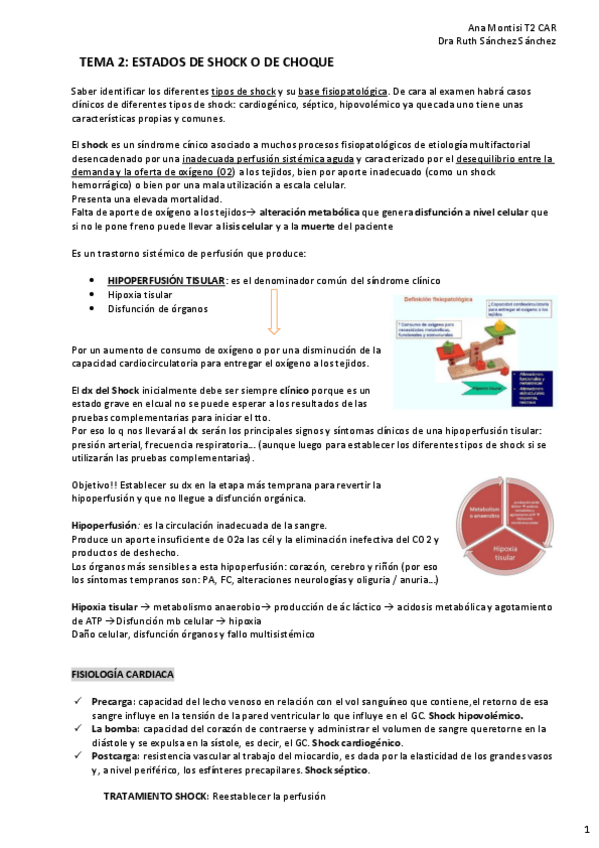Miniatura del documento TEMA-2-CAR-Estados-de-Shock-o-choque.pdf