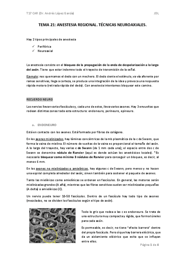 Miniatura del documento TEMA-21-car.pdf