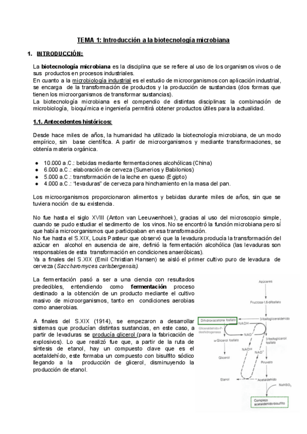 Miniatura del documento Tema-1-BM.pdf