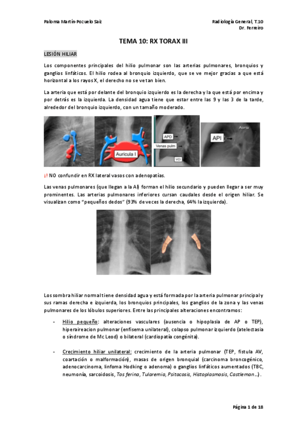Miniatura del documento TEMA-10-rayos.pdf