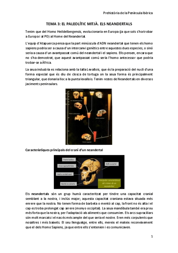 Miniatura del documento TEMA-3.pdf