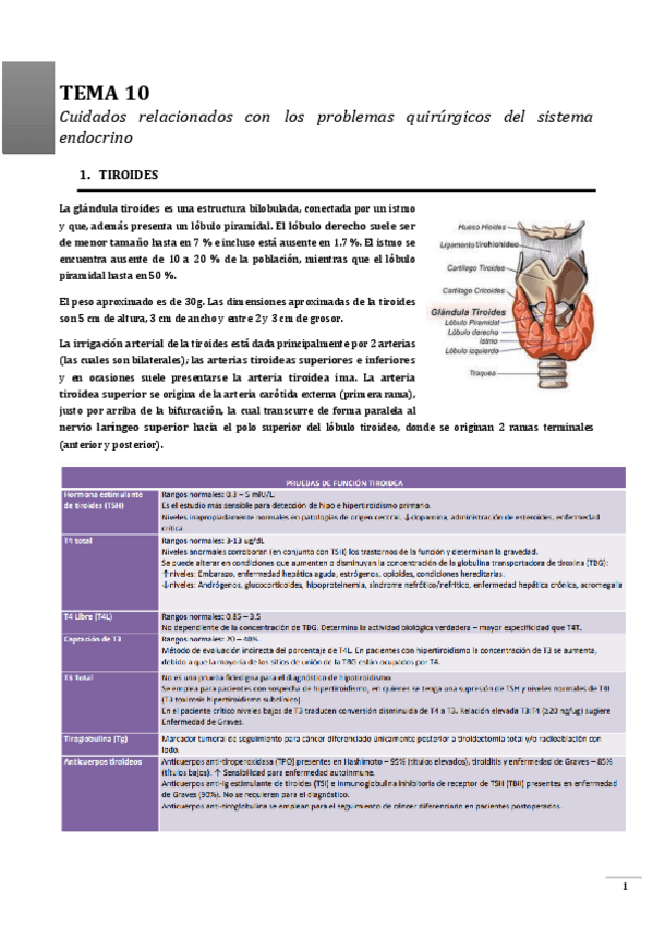 Miniatura del documento TEMA-10.pdf