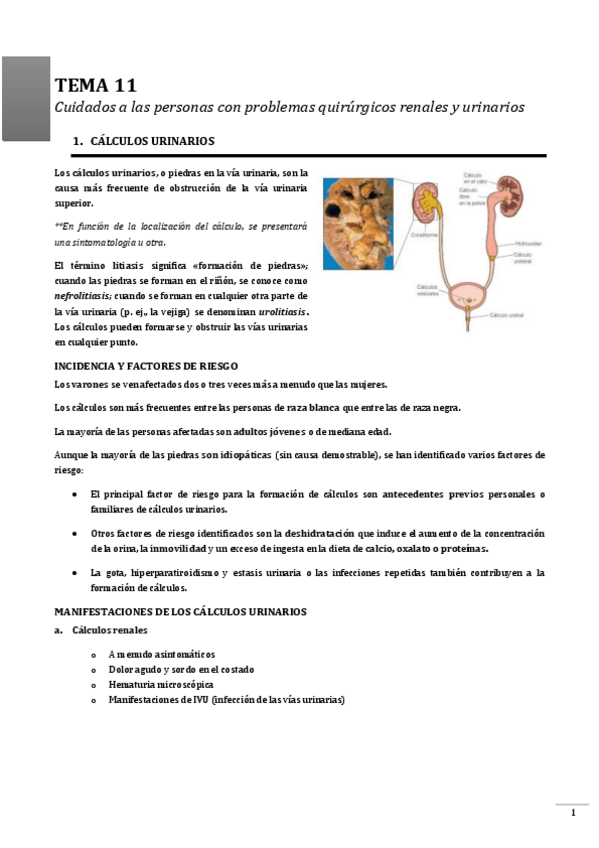 Miniatura del documento TEMA-11.pdf