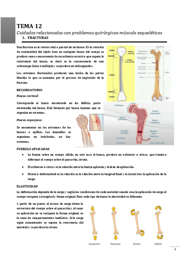 Miniatura del documento TEMA-12.pdf