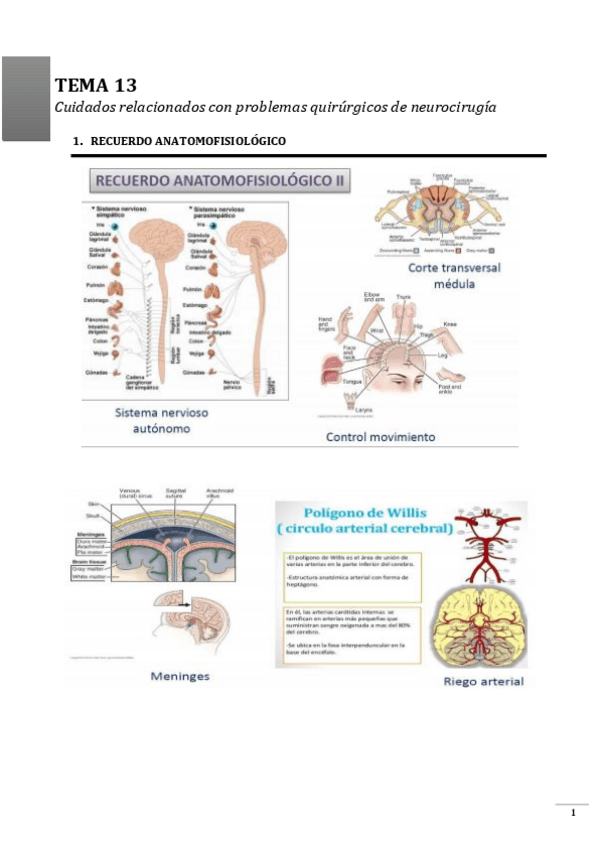 Miniatura del documento TEMA-13.pdf