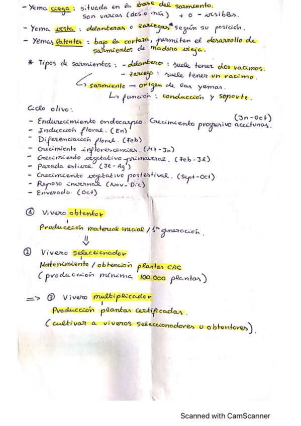 Miniatura del documento respuestas-parcial-2-lenosos.pdf