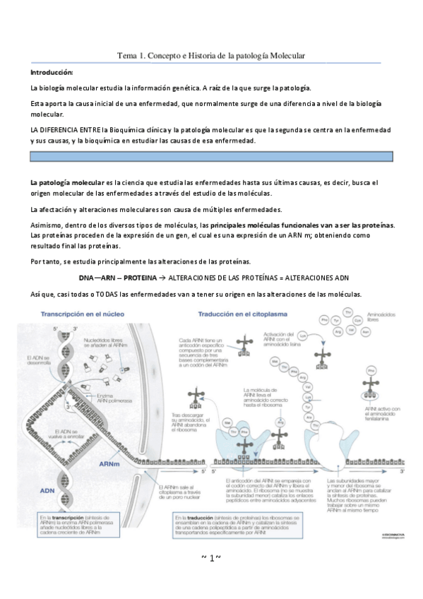 Miniatura del documento Patologia-tema-1.pdf