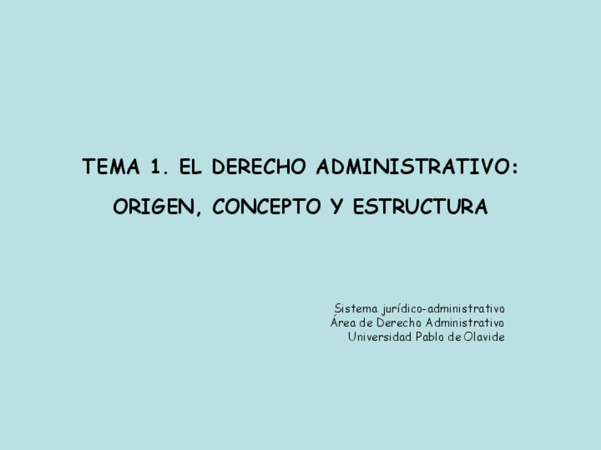 Miniatura del documento TEMA-1-DIAPOSITIVAS-PROFESOR.pdf