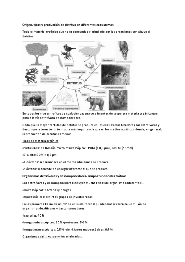 Miniatura del documento ECO-T14.pdf