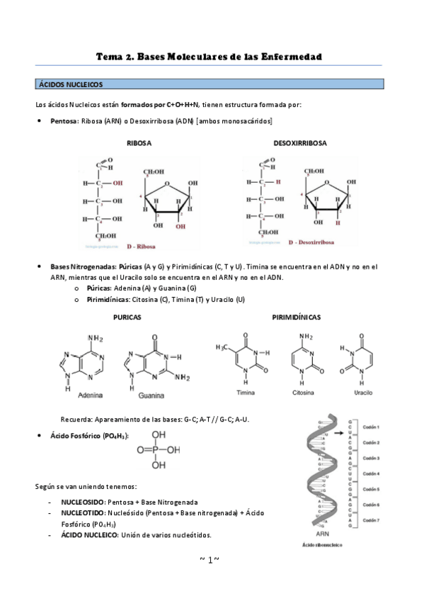 Miniatura del documento Patologia-Tema-2.pdf