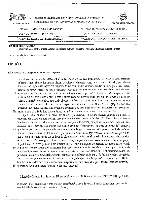 Miniatura del documento PAU-JUNY-2010-TEXT-PLACA-DIAMANT-EL-NORUEC.pdf