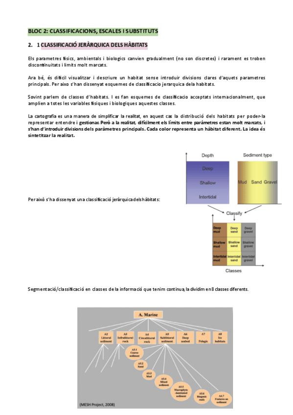 Miniatura del documento BLOC-2.-CLASSIFICACIONS-ESCALES-I-SUBSTITUTS.pdf