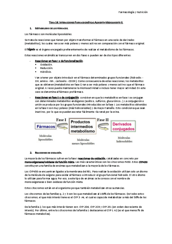 Miniatura del documento Tema 16. Interacciones Farmacocinéticas Alimento-Medicamento II.pdf