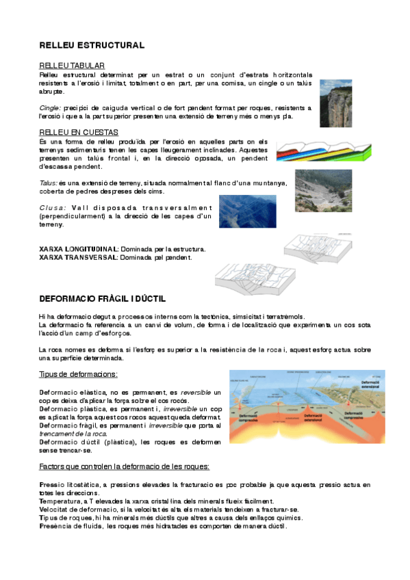 Miniatura del documento RELLEU-ESTRUCTURAL.pdf