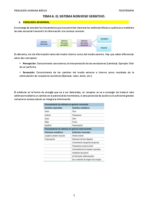 Miniatura del documento TEMA-6.pdf