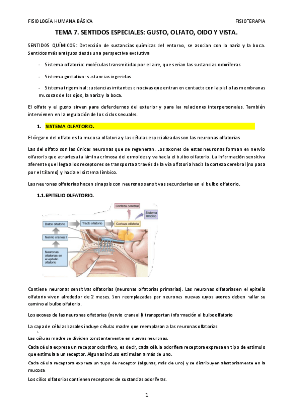 Miniatura del documento TEMA-7.pdf