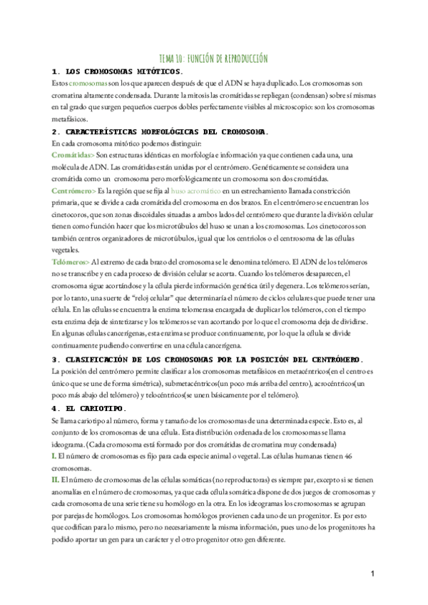 Miniatura del documento Tema 10. Función de reproducción: Mitosis y Meiosis.pdf