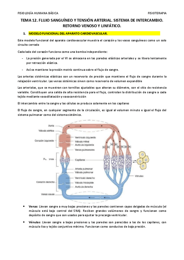 Miniatura del documento TEMA-12.pdf
