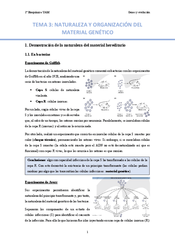 Miniatura del documento TEMA-3.-Naturaleza-y-organizacion-del-material-genetico..pdf