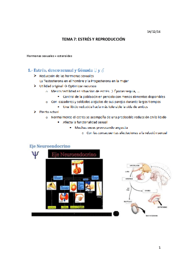 Miniatura del documento Tema 7.pdf