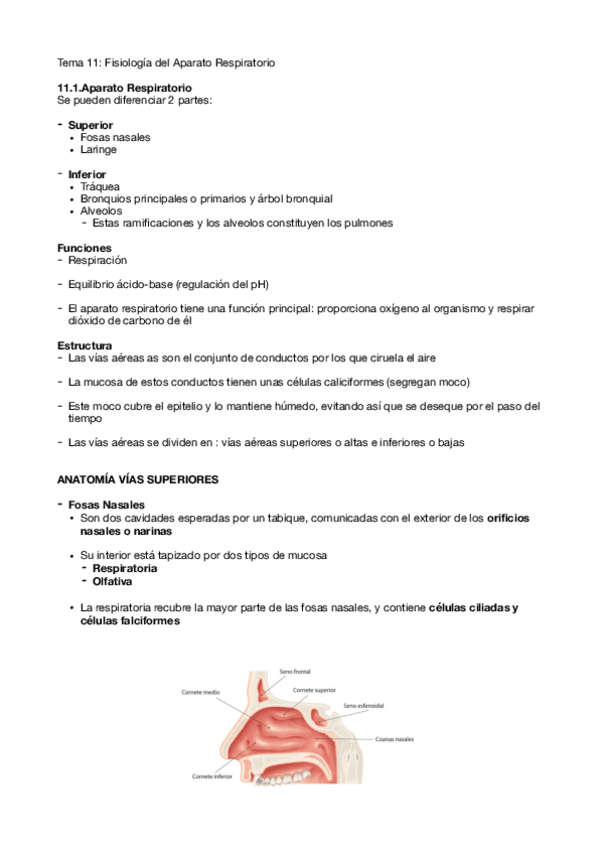 Miniatura del documento Tema-11.pdf