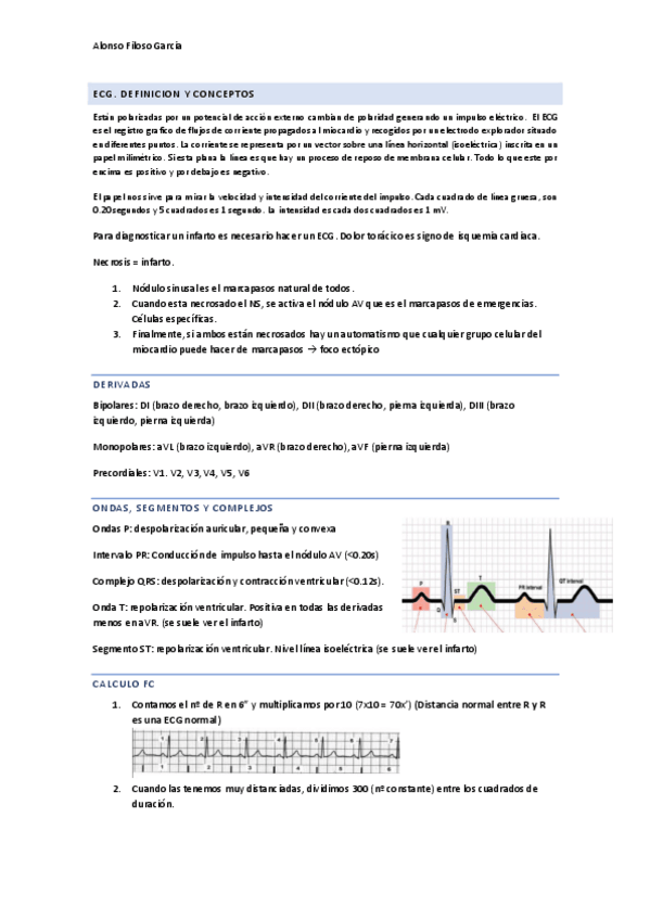 Miniatura del documento ECG.pdf