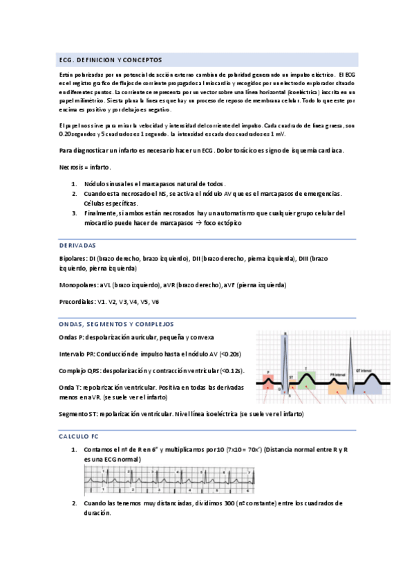 Miniatura del documento ECG.pdf