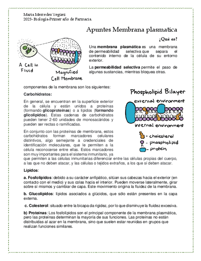 Miniatura del documento Apuntes-Membrana-plasmatica.pdf