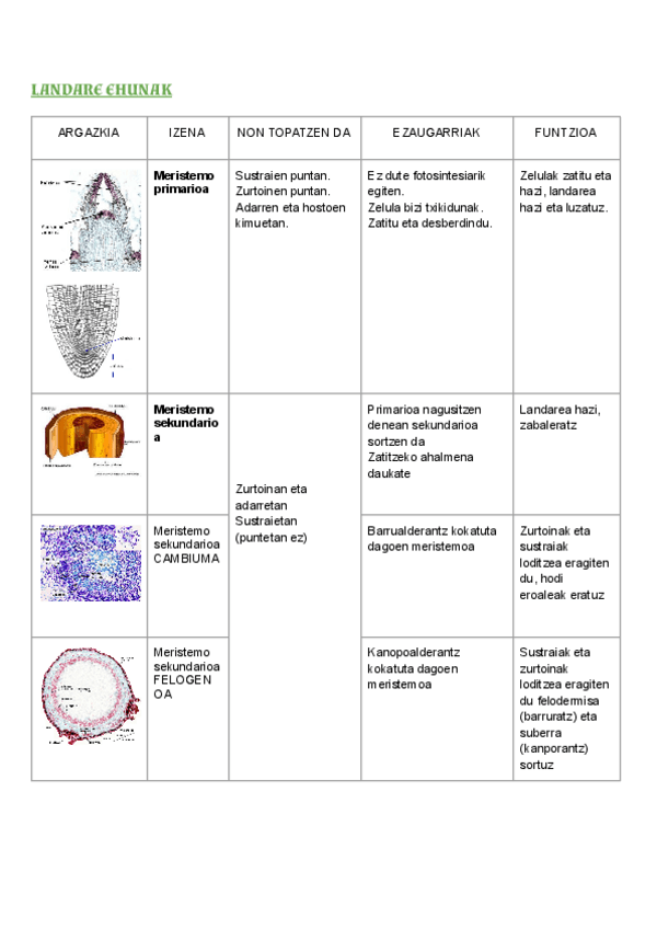 Miniatura del documento Landare-ehunak-sailkapena.pdf