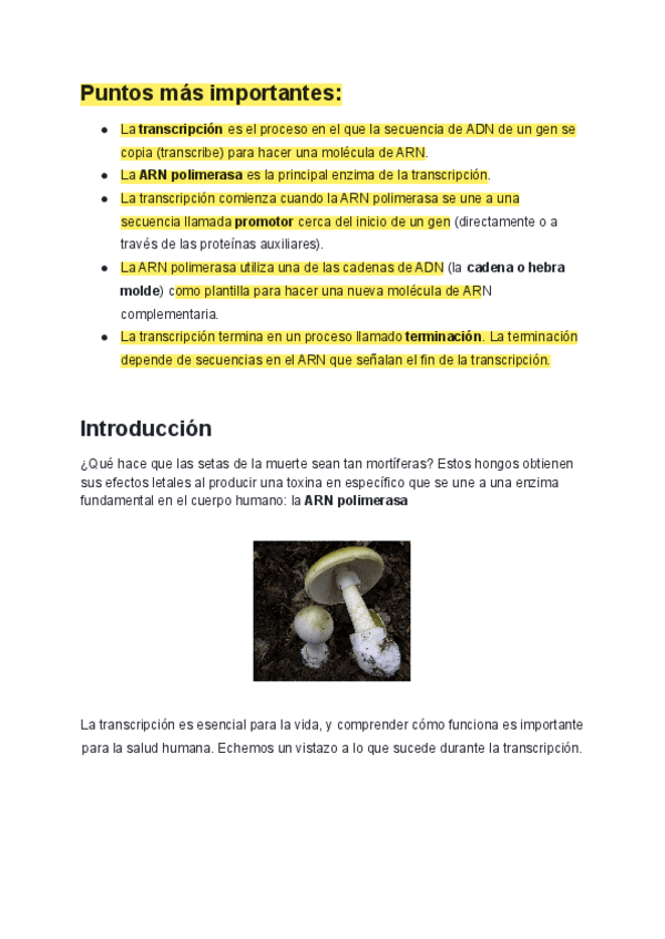Miniatura del documento TRANSCRIPCION.pdf