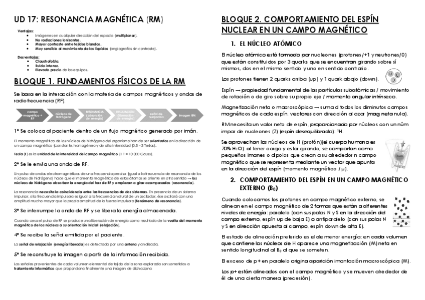 Miniatura del documento RES-FFE-UD-17.pdf