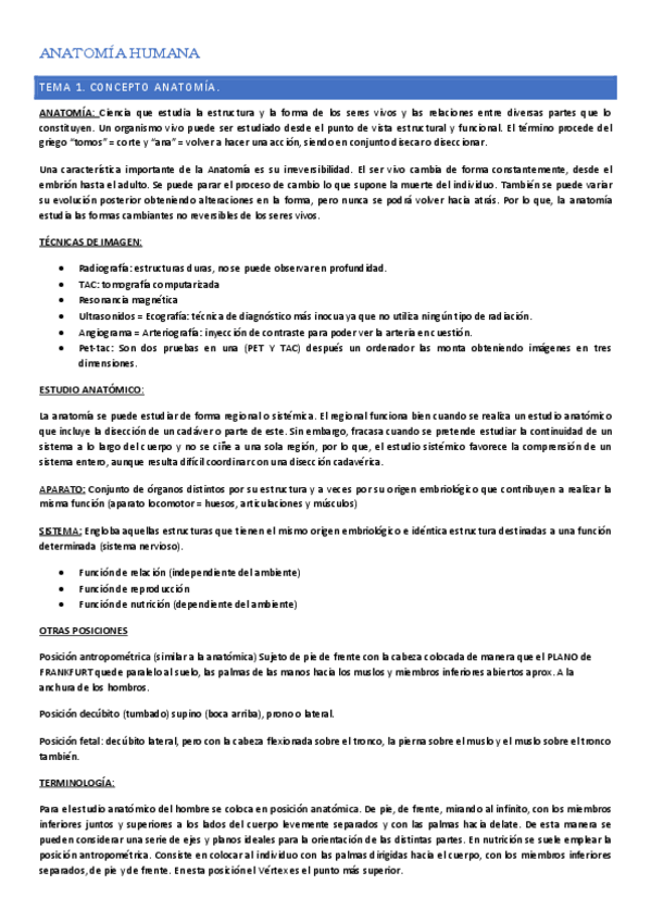 Miniatura del documento TODO ANATOMÍA.pdf