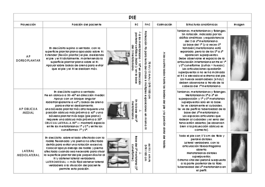 Miniatura del documento Extremidad-inferior.pdf