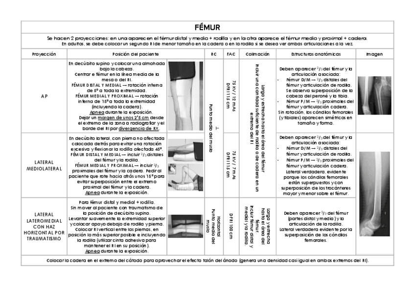 Miniatura del documento Femur-y-cintura-pelviana.pdf
