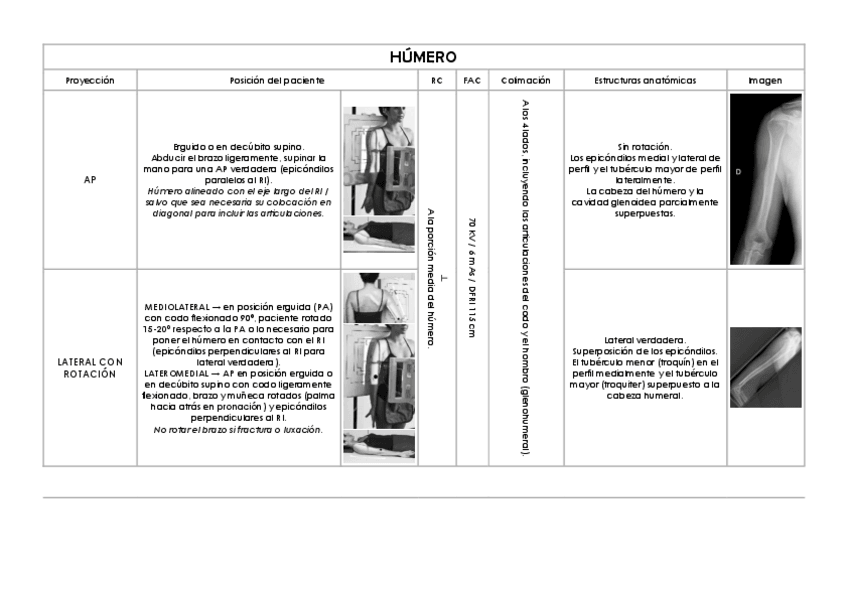 Miniatura del documento Humero-y-cintura-escapular.pdf