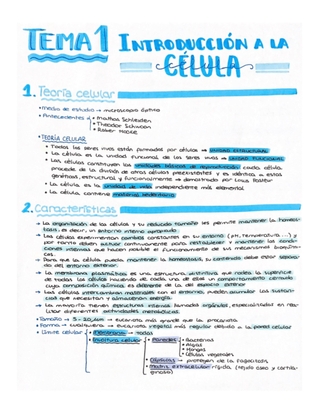 Miniatura del documento Tema-1-Biologia-I.pdf