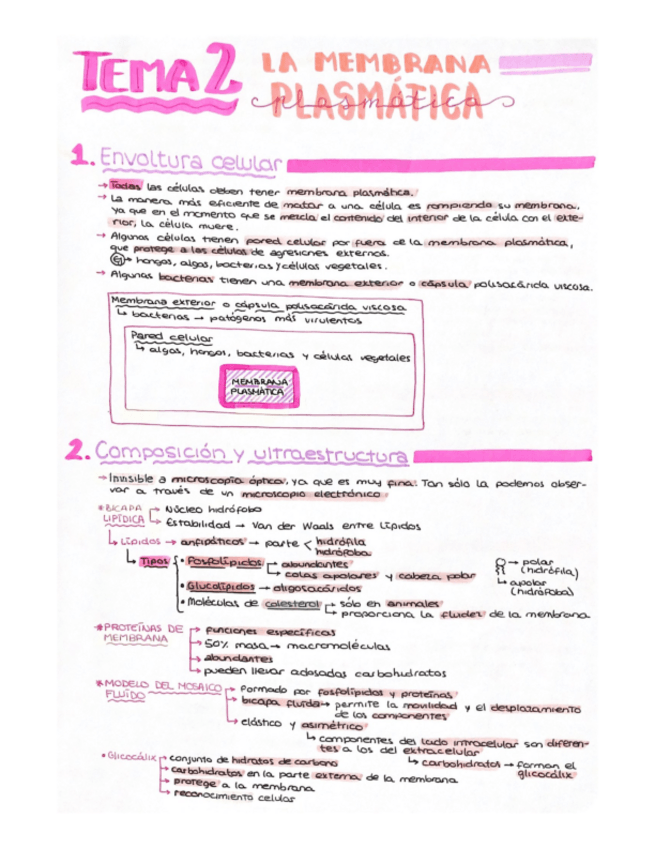 Miniatura del documento Tema-2-Biologia-I.pdf