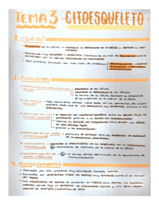 Miniatura del documento Tema-3-Biologia-I.pdf