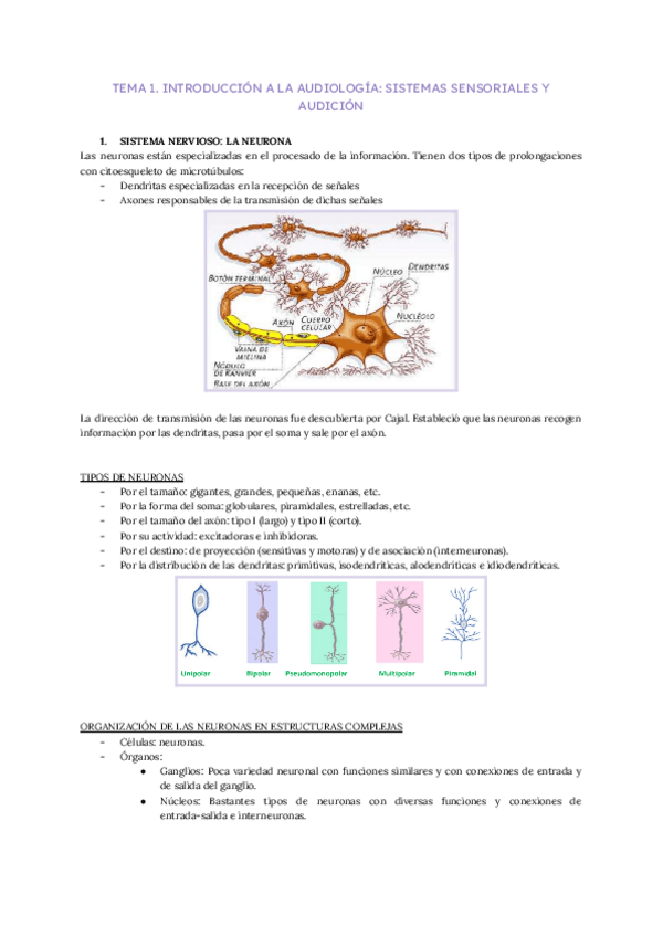 Miniatura del documento T1-Bases-neurobiologicas.pdf