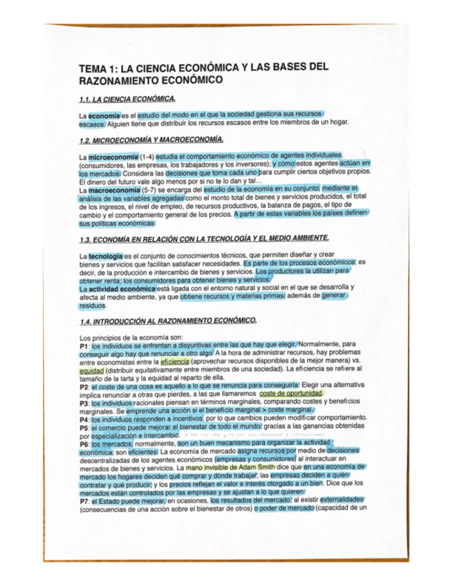 Miniatura del documento RESUMEN-CORTO-ECONOMIA.pdf