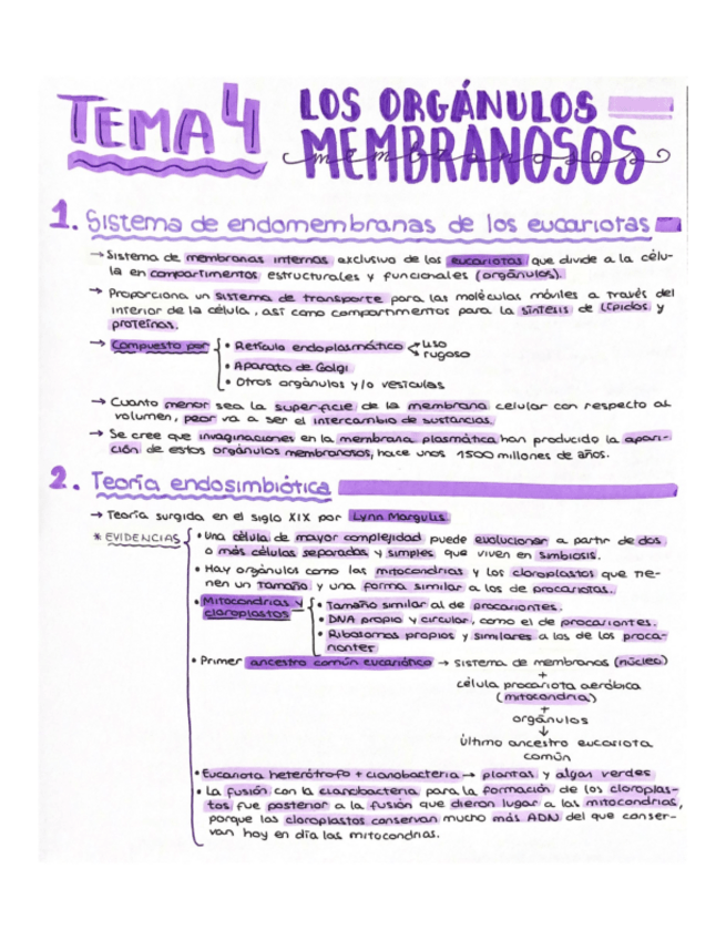 Miniatura del documento Tema-4-Biologia-I.pdf