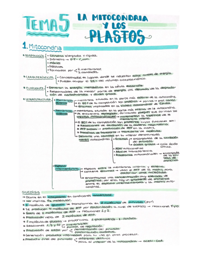 Miniatura del documento Tema-5-Biologia-I.pdf