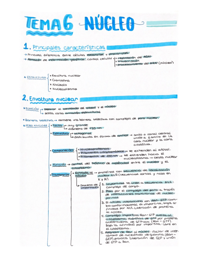 Miniatura del documento Tema-6-Biologia-I.pdf