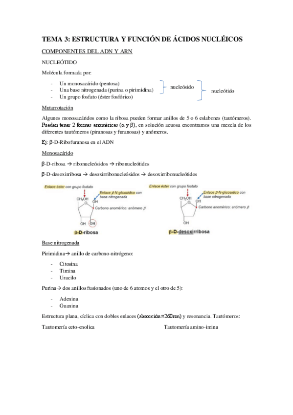 Miniatura del documento BLOQUE-III-TEMA-3.1-Nucleotidos.pdf