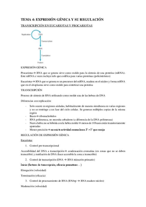 Miniatura del documento BLOQUE-IV-TEMA-4.1-Trancripcion-y-maduracion.pdf