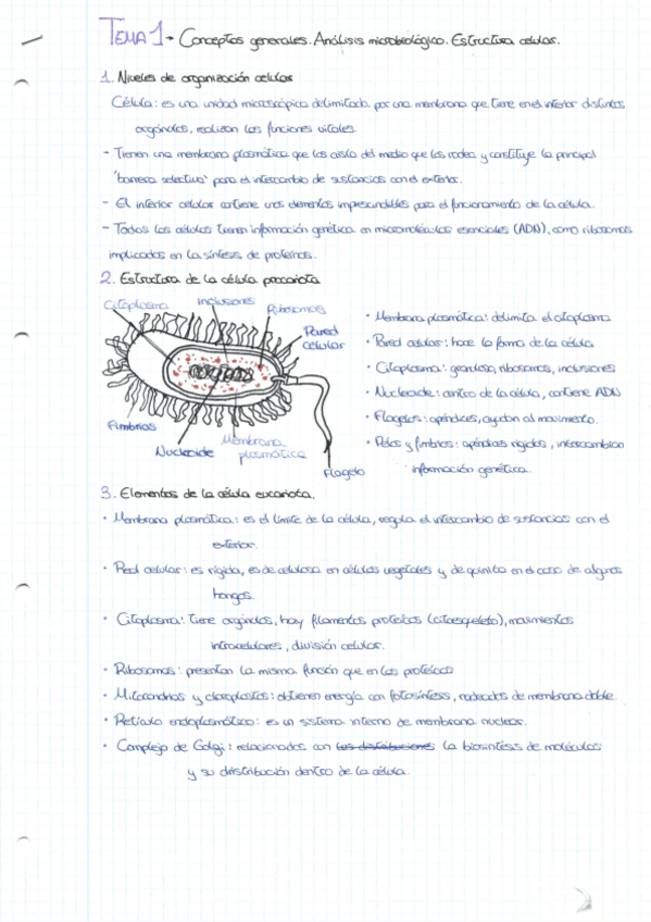 Miniatura del documento TEMA-1.pdf
