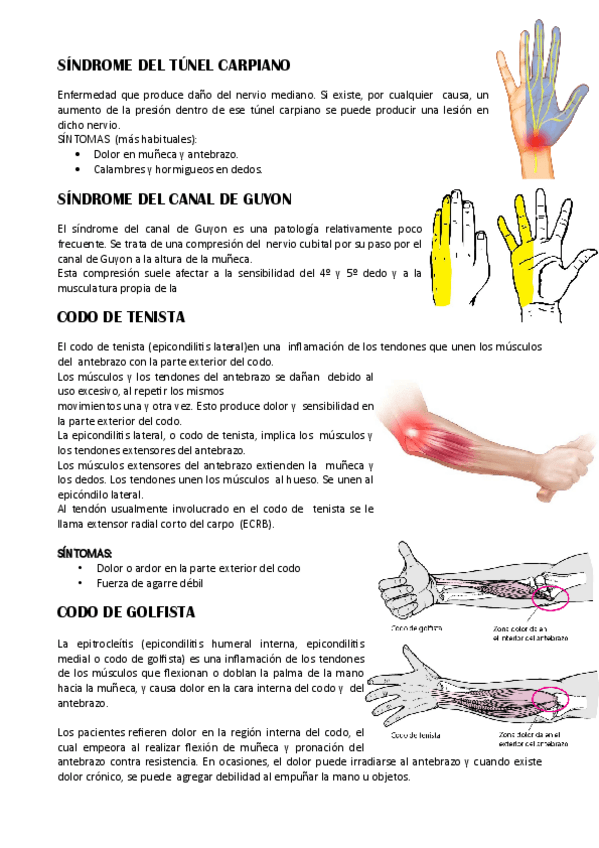 Miniatura del documento Patologias-2.pdf