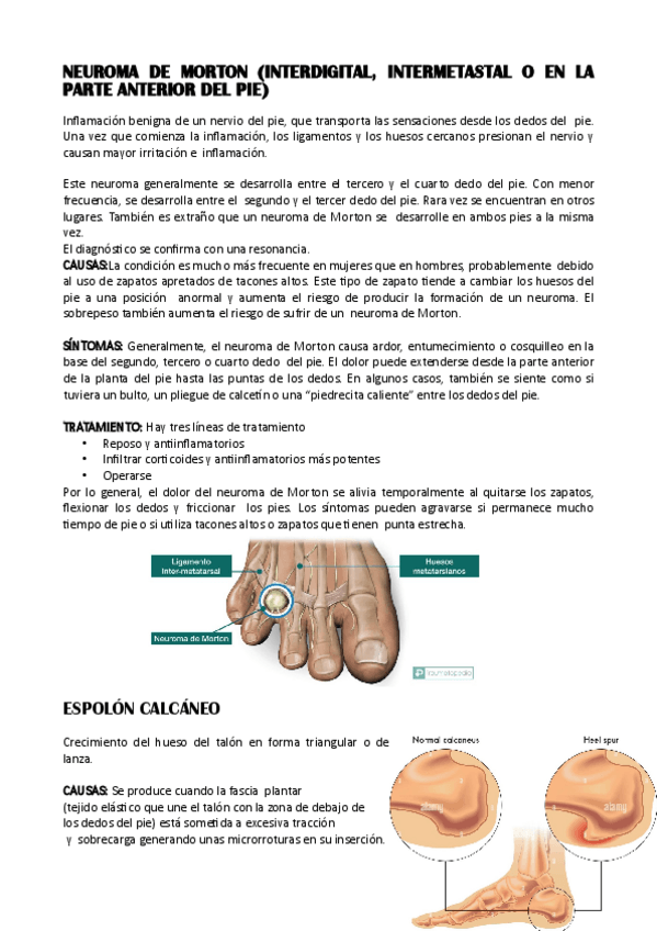 Miniatura del documento PATOLOGIAS.pdf