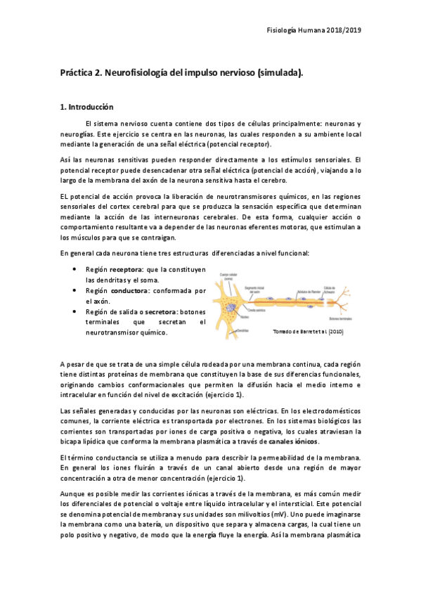 Miniatura del documento Practica-2.-Neurofisiologia-del-impulso-nervioso-simulada..pdf
