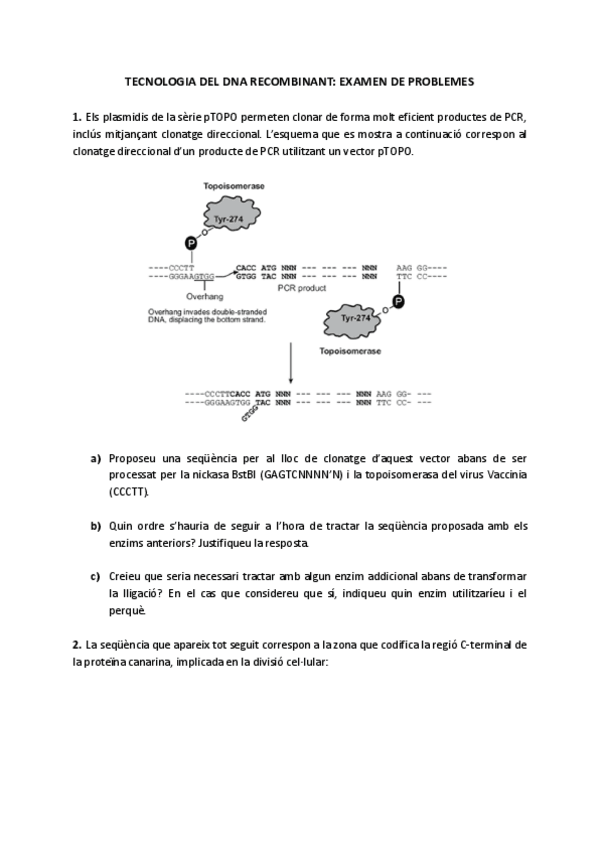 Miniatura del documento Examen-de-Problemes-TDR.pdf